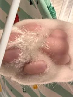 人妻ステーションポータブル鹿児島(鹿児島市) さよ