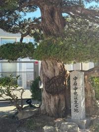 待ちナビ しょう 10/1、午前中お会いしたお客様へ