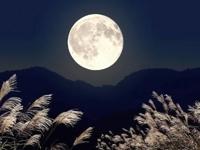 待ちナビ ひろか 中秋の名月