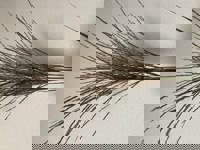 お疲れ様でした