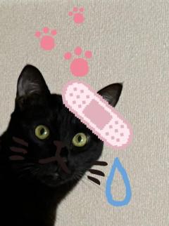 JaPON 環菜ｶﾝﾅ 病院行かなきゃ