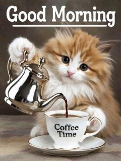 SUZUME ちはる おはよう朝ですね(?θ???θ?)