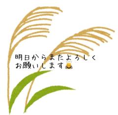 鹿児島ちゃんこ薩摩川内店 もあ 今日はお休みです！