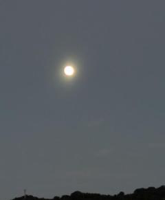 commit(別府市) ホノカ【四十路】