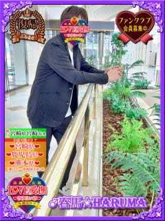 🎑中秋の名月の夜に