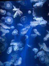 待ちナビ わか 出勤しました