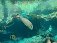 待ちナビ しょう 10/4、夜にお会いしたお客様へ