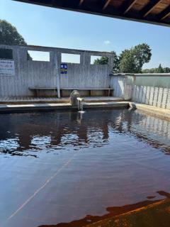 JaPON 元子　良い値コース おさるの湯