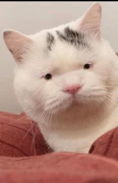 SUZUME ちはる こんにちは(?θ???θ?)