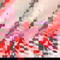 もどったよーん？´-