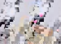 沖縄本舗　かすみ-KASUMI