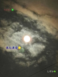 鹿児島ちゃんこ 霧島店　しずか