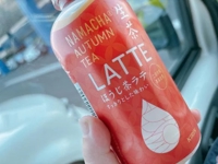 宮崎ちゃんこ都城店　くぅ