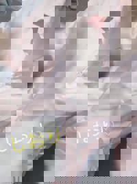 CLUB ULTRA しおり います