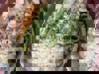 大人の遊園痴「スピーディー」　りつ（敏感で癒し系）