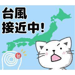 SUZUME ちはる こんばんは(???????????)