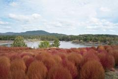 一夜の愛人　もか