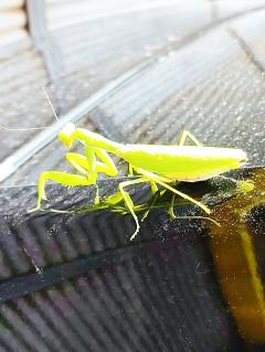 高級女性用風俗・性感エステLOVE愛撫(らぶあいぶ) ♂流星☆RYUSEI 神に祈りを💖