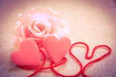 鹿児島ちゃんこ薩摩川内店　なな