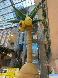 Roots(ルーツ)　かおる