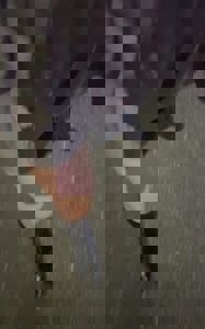 沖縄本舗　かすみ-KASUMI