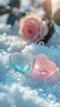 鹿児島ちゃんこ薩摩川内店　なな