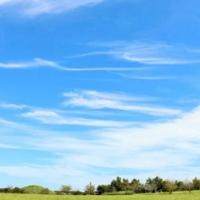 待ちナビ みゆ いい天気