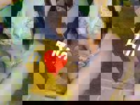 LOHAS(ロハス) りん ありがと。