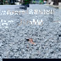 スウィートルーム　じんの