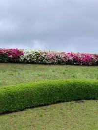 待ちナビ らいあ 成長