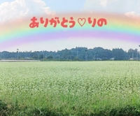 momo♥霧島店 新人未経験りのちゃん♪