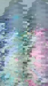 宮崎ちゃんこ中央通店　さな