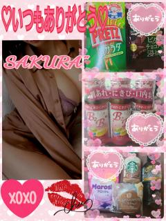 MICHELIN ミシュラン サクラSakura 朝からパタパタ～🥺