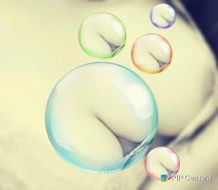 鶴富屋敷　ヒナ、(癒しの女王)