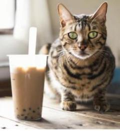 INFINITY沖縄　そら