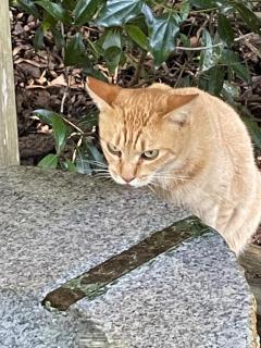 Spica(すぴか) ★さくらこ★WHITEコース 向かってます?