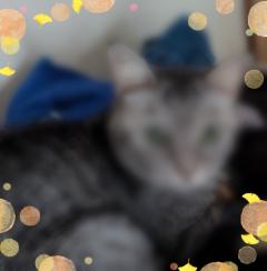 来夢来人大分店　夏（なつ）新人奥様