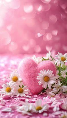 鹿児島ちゃんこ薩摩川内店　なな