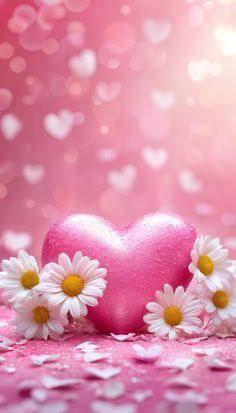 鹿児島ちゃんこ薩摩川内店　なな