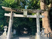 マドンナSANSAIN　りんか