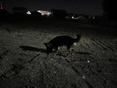 CLUB LUMINE　Haru【ハル】