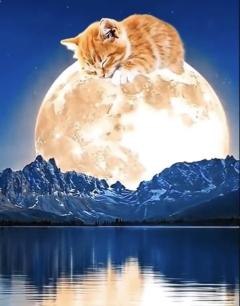 ご主人様いらっしゃい 大分店　神舌ゆい♡最強エロ女（痩せてきた）