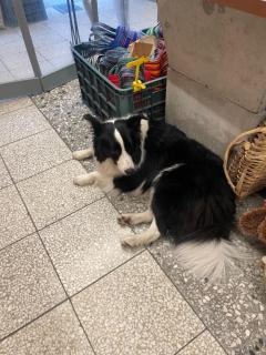 Roots(ルーツ)　かおる