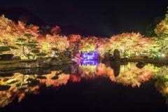 人妻24時　しずく