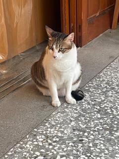 Roots(ルーツ)　かおる