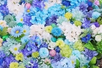 待ちナビ(福岡市) えり