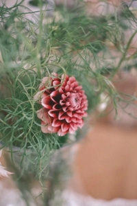 宮崎ちゃんこ都城店　あずさ