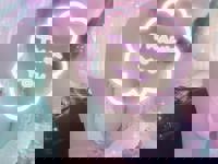 宮崎ちゃんこ中央通店　みく