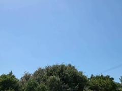 Spica(すぴか)　新★まい★完全業界初！