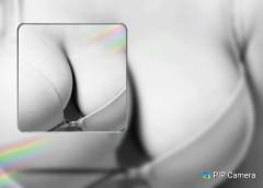 鶴富屋敷　ヒナ、(癒しの女王)